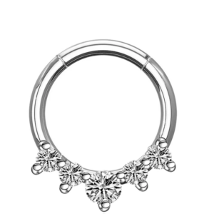 1.2 X 8 HINGED SEGMENT RING - STEEL - 5 CRYSTAL