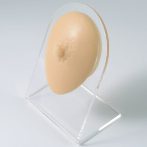 SILICONE BODY DISPLAY - NIPPLE - FLESH