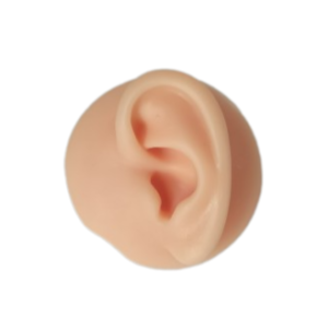 SILICONE BODY DISPLAY - LEFT EAR - FLESH